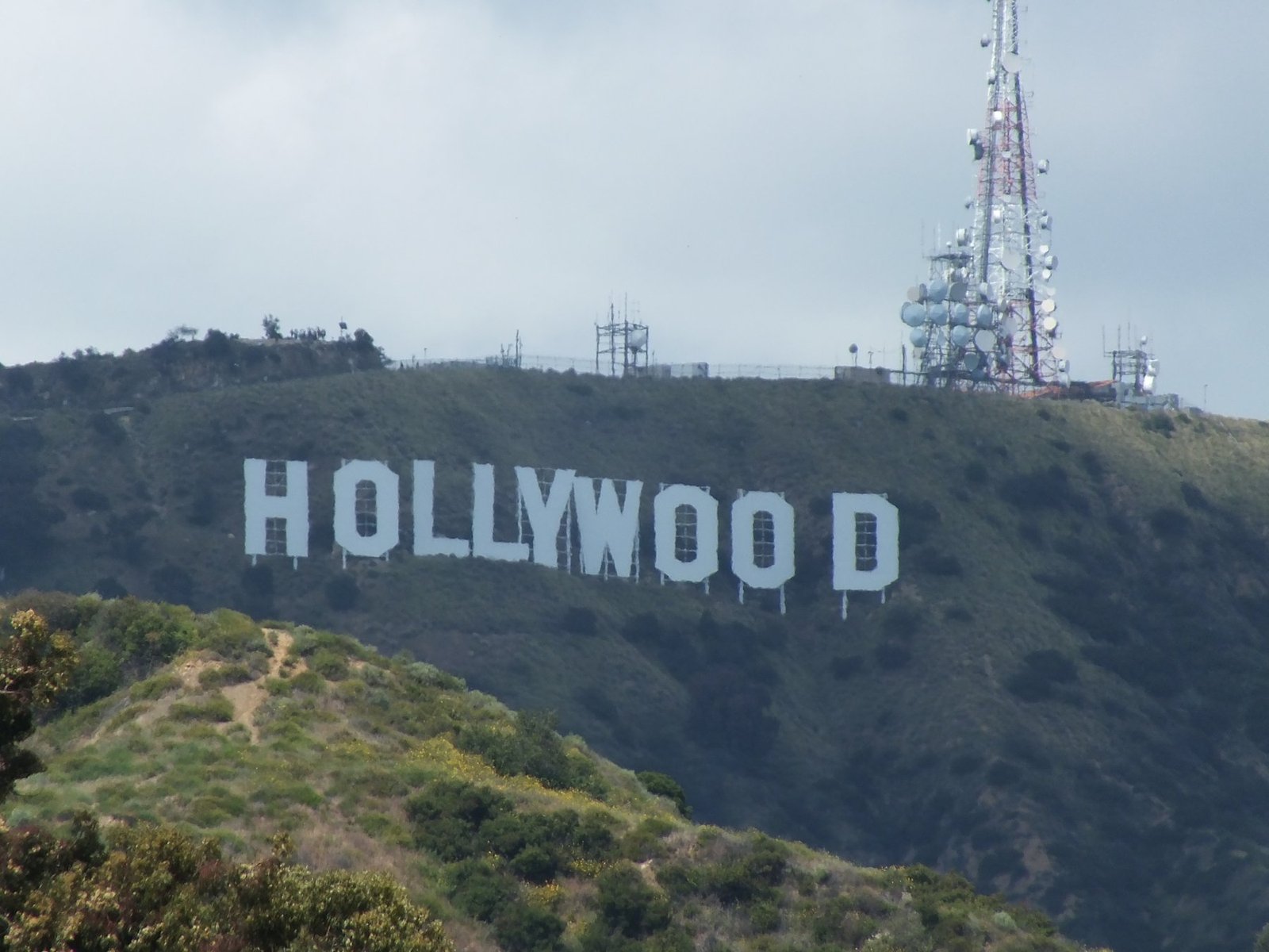 Hollywood Sign, Los Angeles CA — Website Designer in Los Angeles