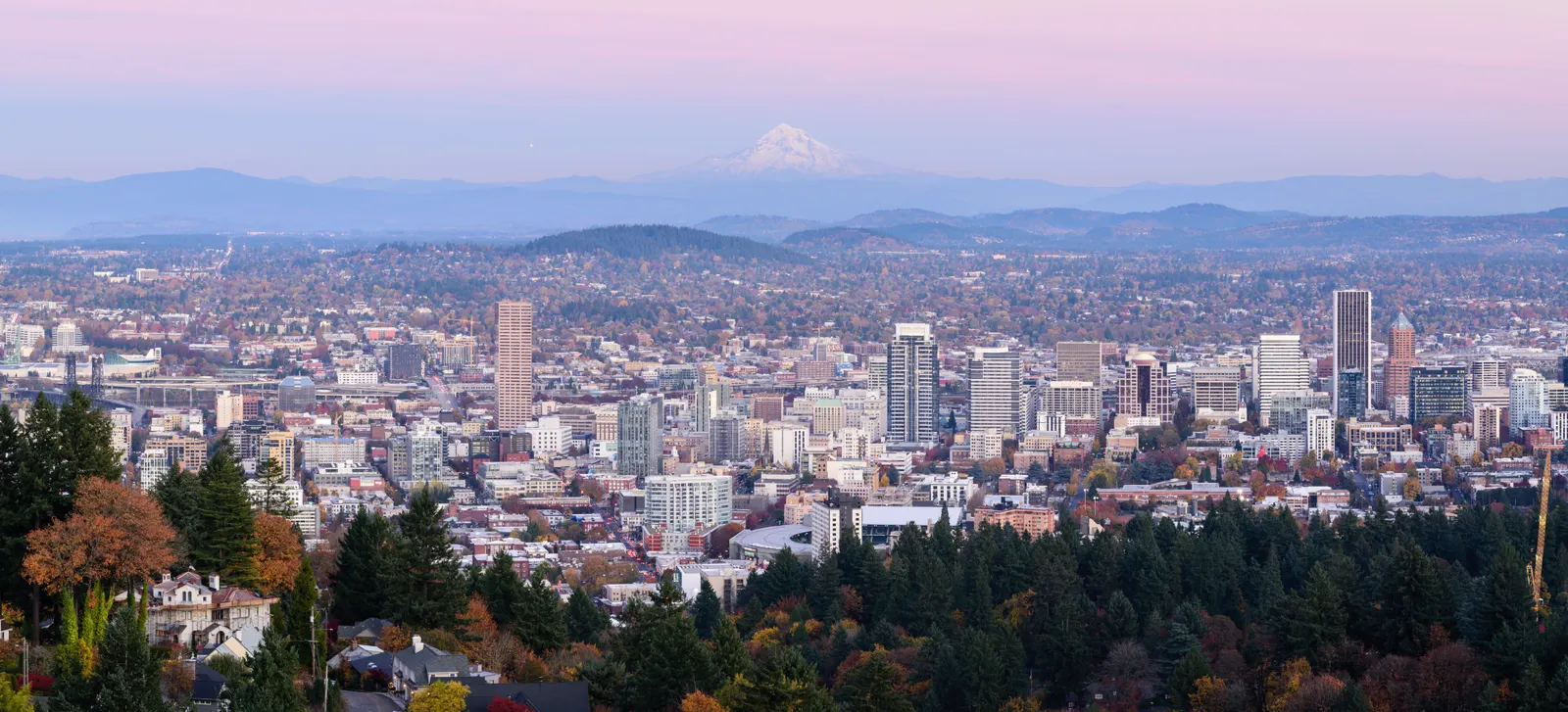 Portland, OR — Sun City Marketing contractor website design