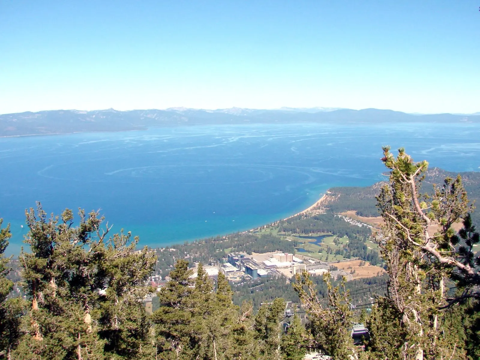 Reno, NV — Sun City Marketing contractor website design