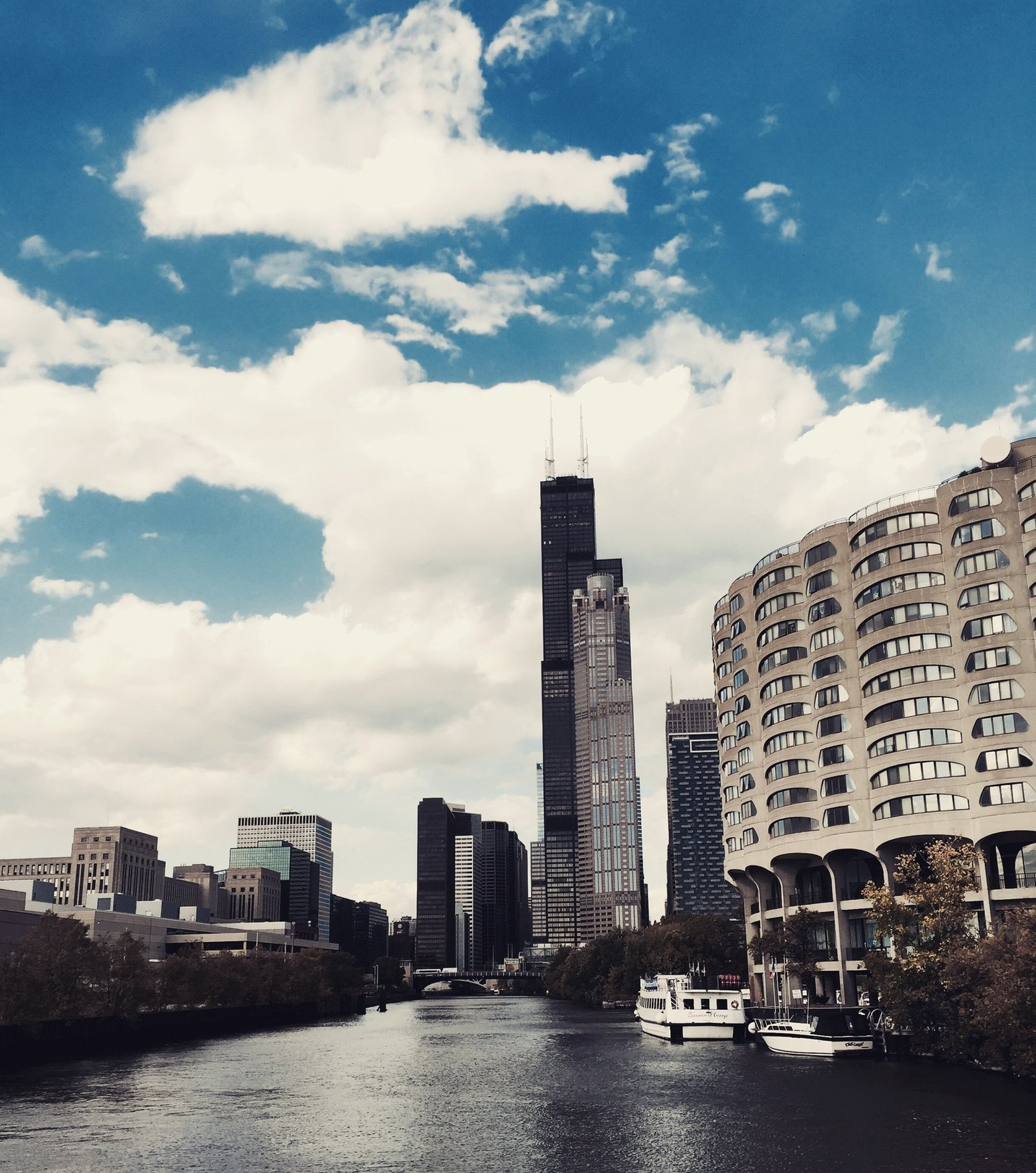 Chicago IL — Website Designer in Chicago
