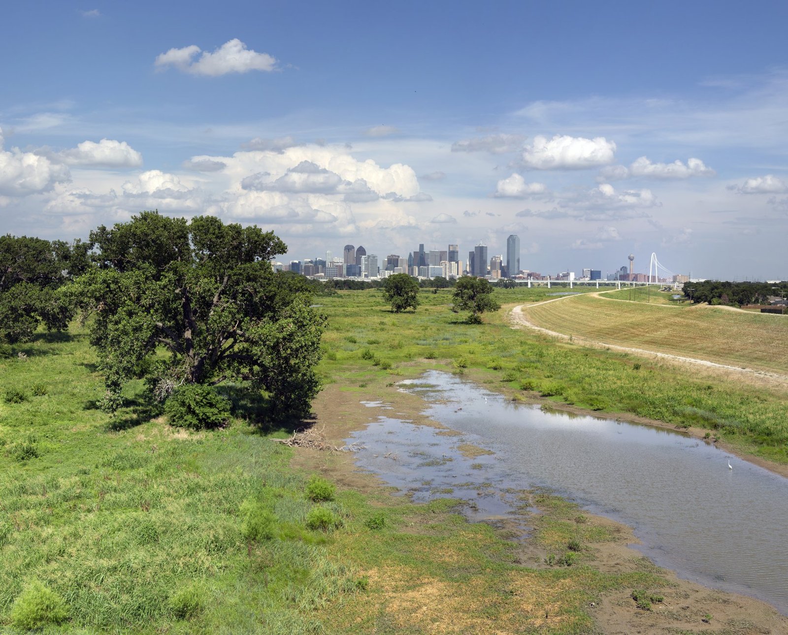 Dallas TX — Sun City Marketing service area — Website Designer in Dallas