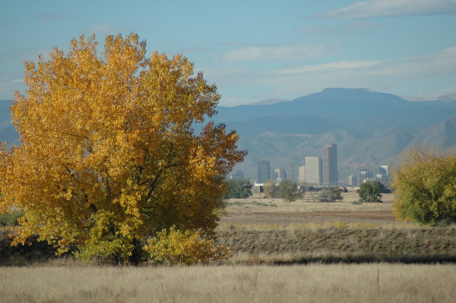 Denver CO — Sun City Marketing service area — Website Designer in Denver