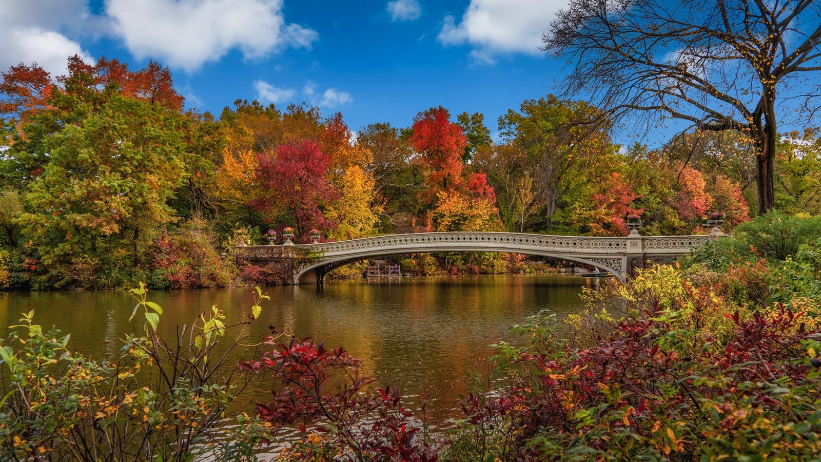 New York City NY — Sun City Marketing service area — Website Designer in New York City