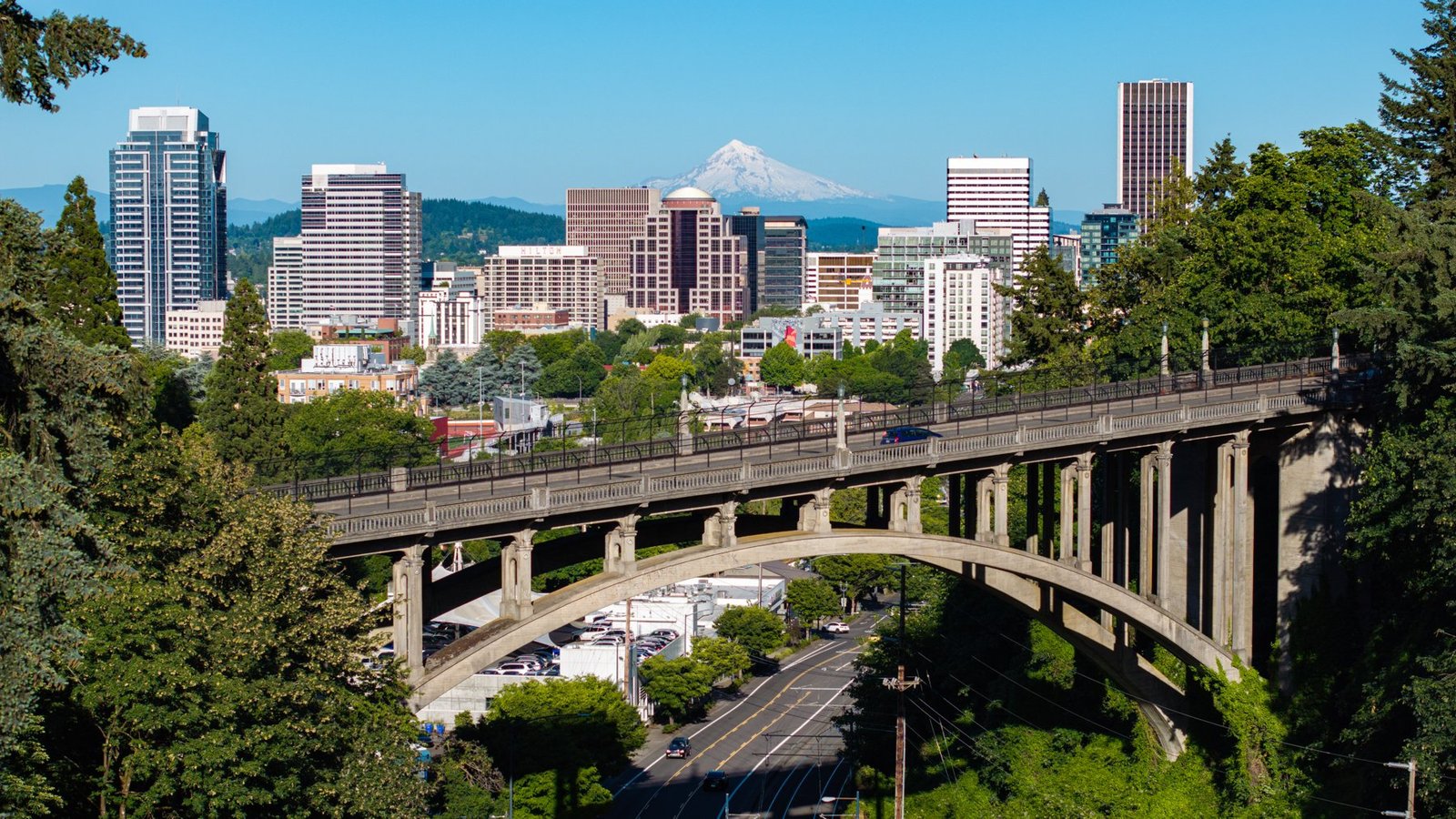 Portland OR — Website Designer in Portland