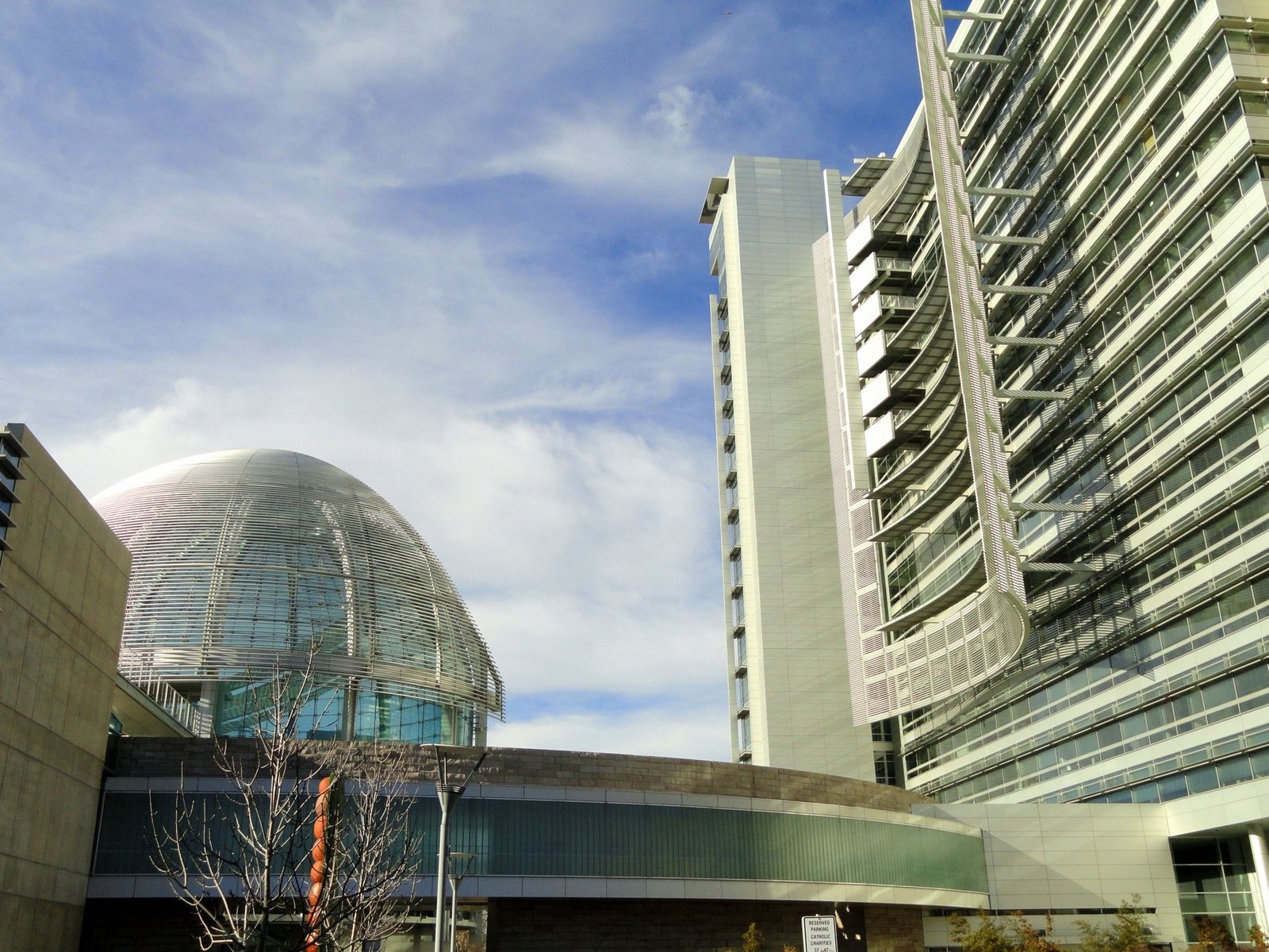 San Jose City Hall — Website Designer in San Jose